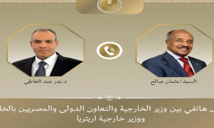 وزير الخارجية المصري يبحث مع نظيره الإريتري تعزيز العلاقات الثنائية