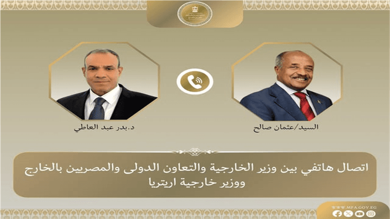 وزير الخارجية: مصر تدعم وحدة إريتريا.. أمن البحر الأحمر مسؤولية الدول المشاطئة له