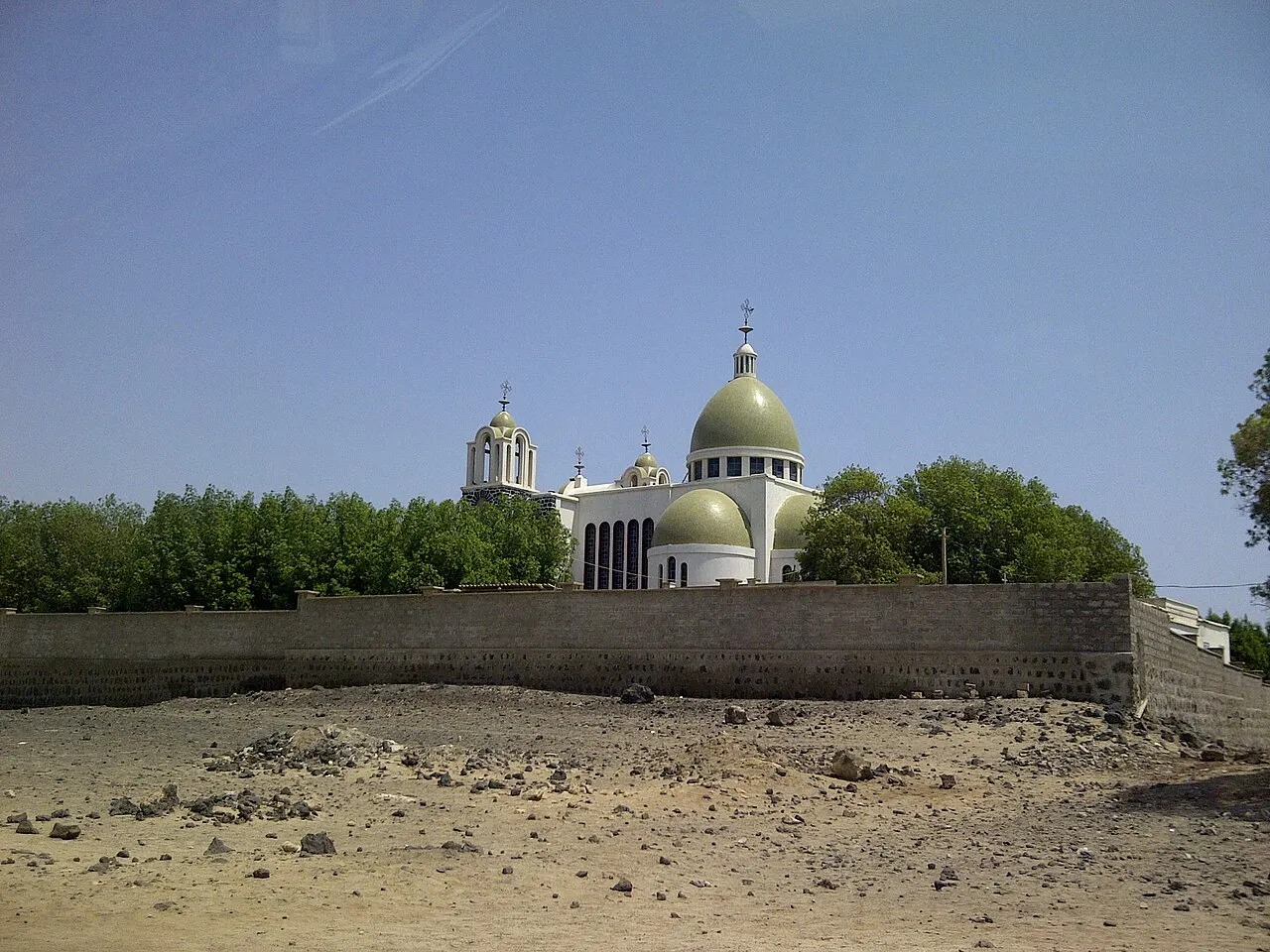 عصب